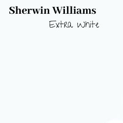Extra White Paint Swatch