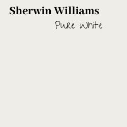 Pure White Paint Swatch